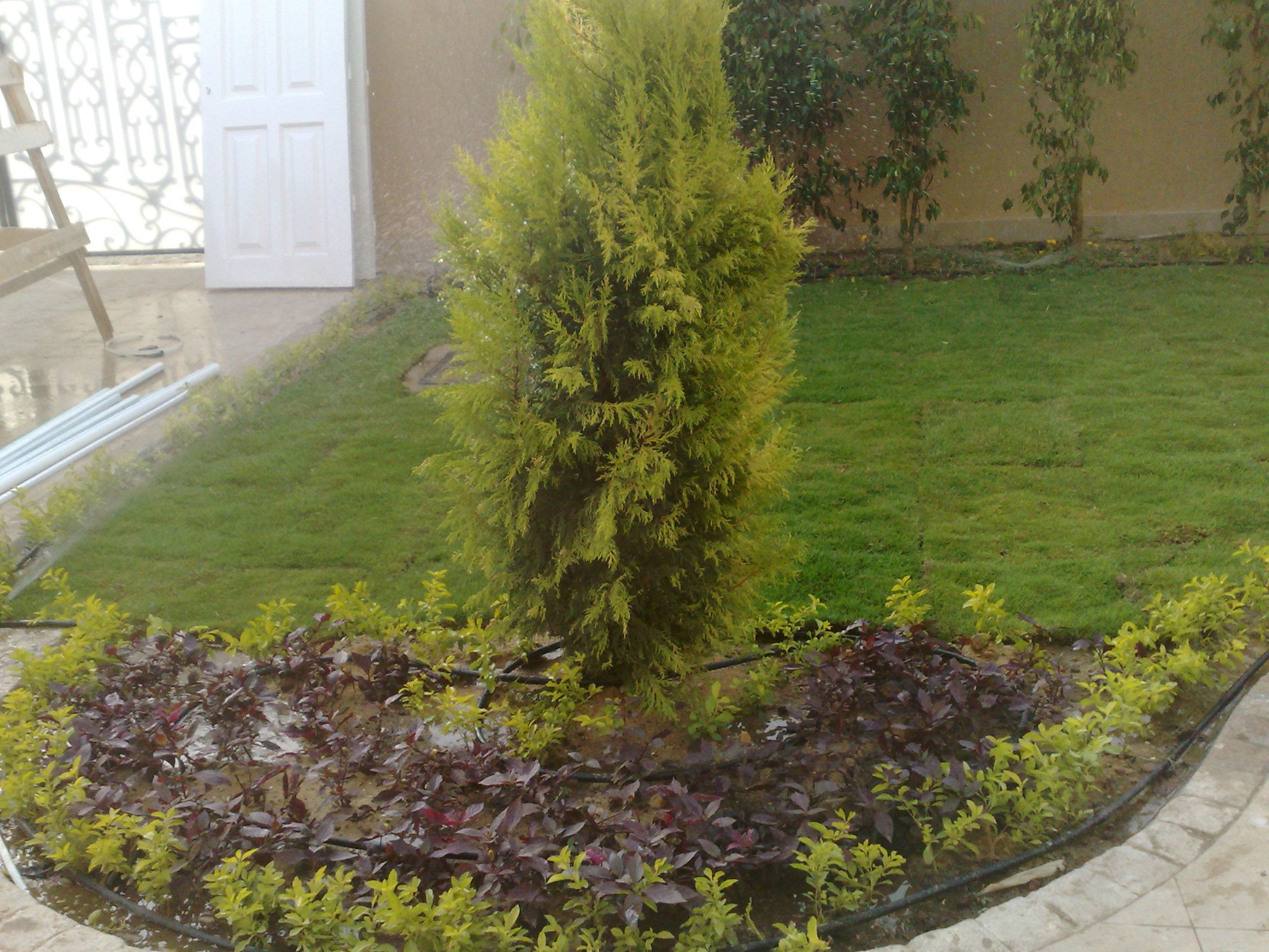 فيلا شخصية - طلائع - صورة 2