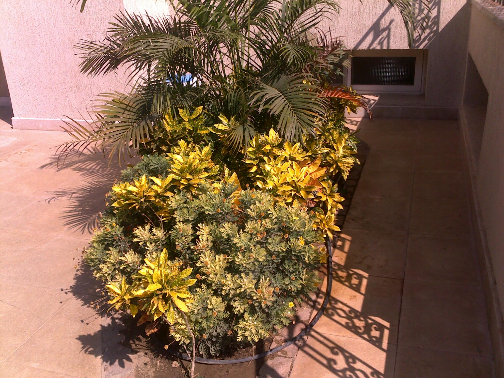 فيلا شخصية - طلائع - صورة 6